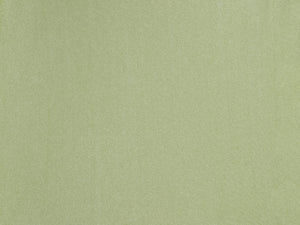 Top Oliva Bandeau-Reto